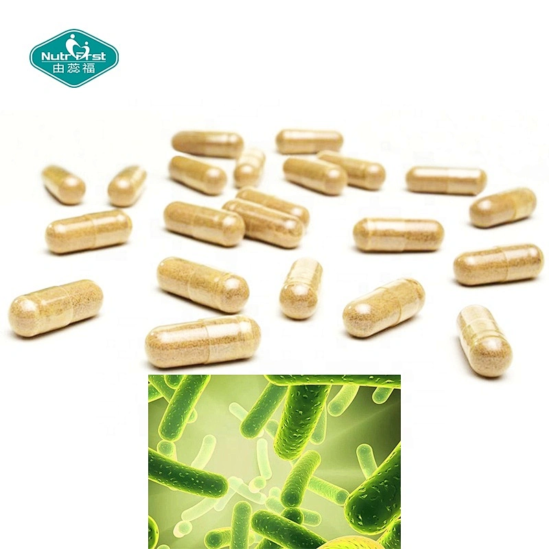Custom Customization Gut Health Probiotic Supplements Herbal Extract Probiotics Capsule for Digestive System