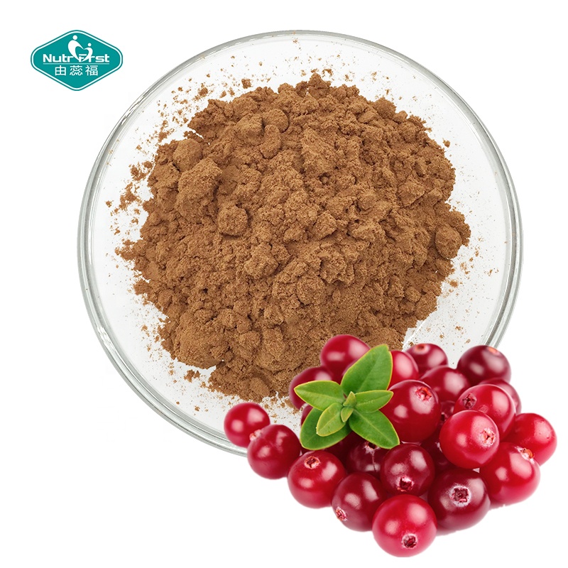 Nutrifirst Supply Proantocianidinas Vaccinium Macrocarpon Extracto de fruta de arándano en polvo Soluble en agua a granel