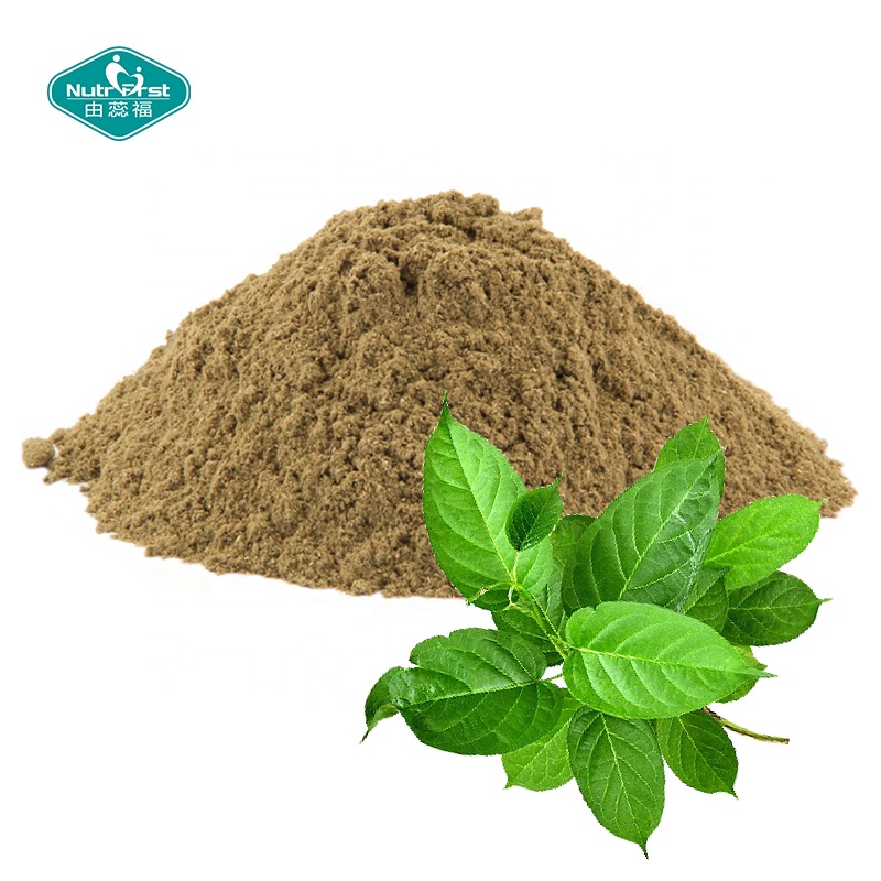 Nutrifirst Supply Gymnema Sylvestre Gymnemic Acids 25% 50% 75% Gymnema Sylvestre Leaf Extract Powder
