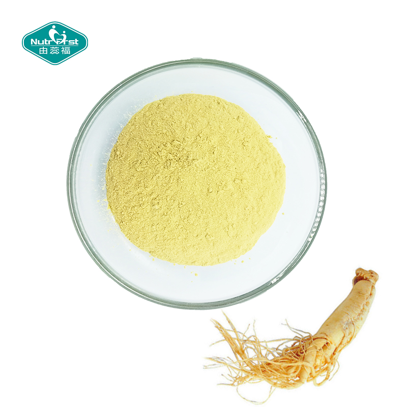 Healthcare Herb Extract Organic Plant Ginsenoside Extract Bulk Panax Ginseng Ginseng Root Extract Powder
