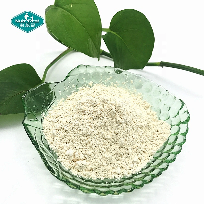 Liver Health Supplement Bulk Organic Ampelopsis Grossedentata Vine Tea Extract DHM 98% Dihydromyricetin Powder