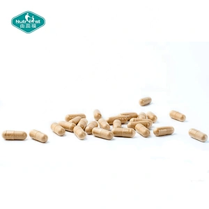 Productos de pérdida de peso de etiqueta privada Potente acetil L-carnitina HCL Cápsulas de extracto de hoja de té verde a granel