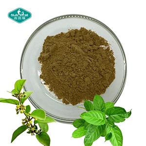 Chinese Herbal Plant Raw Material Gymnema Sylvestre Leaf Gymnema Powder Gymnema Extract in Bulk