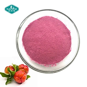 Nutrifirst Solid Extraction Organic Food Grade 17% 25% Vitamina C Polvo de extracto de cereza de acerola liofilizado