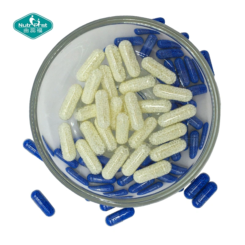 Nutrifirst Customized Timed Slow Release SR Micro-pellets Melatonin VB6 Granular Capsules with Beadlets