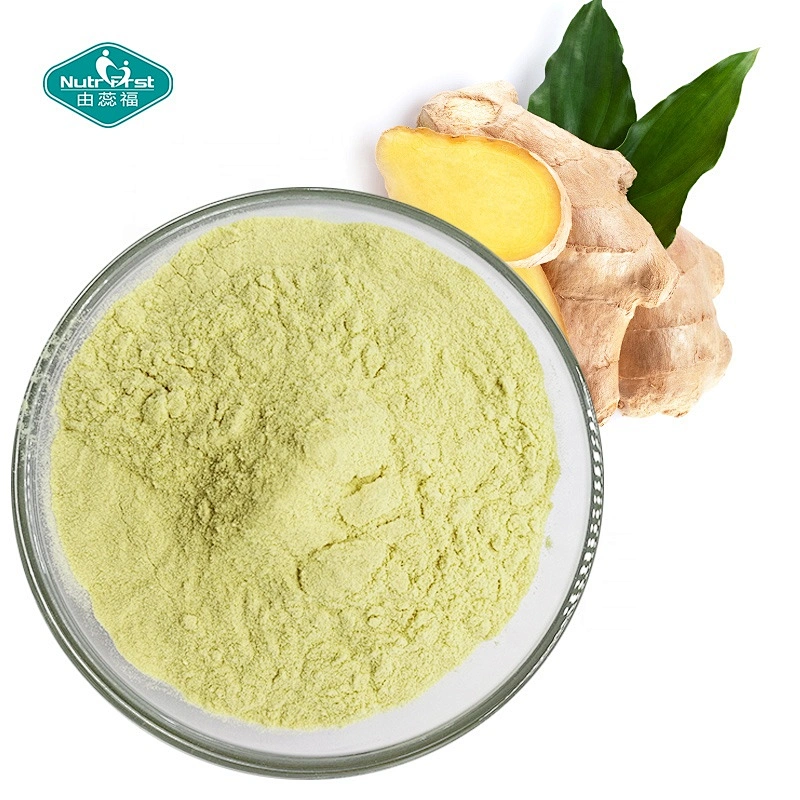 China Manufacturer Supply Organic Ginger Root Extract Powder with Gingerol & Zingiber Officinale