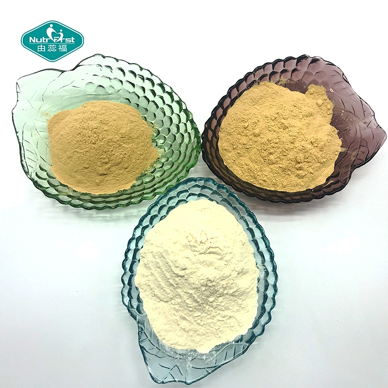 Extracto de hierbas para el cuidado de la salud Extracto de ginsenósido de plantas orgánicas Polvo de extracto de raíz de ginseng de Panax a granel