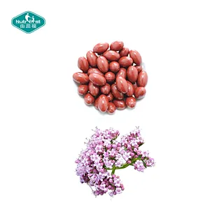 Nutrifirst Custom Customization OEM Improve Sleep Calming Properties Valerian Root Extract Softgel