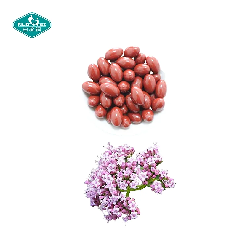 Nutrifirst Custom Customization OEM Improve Sleep Calming Properties Valerian Root Extract Softgel