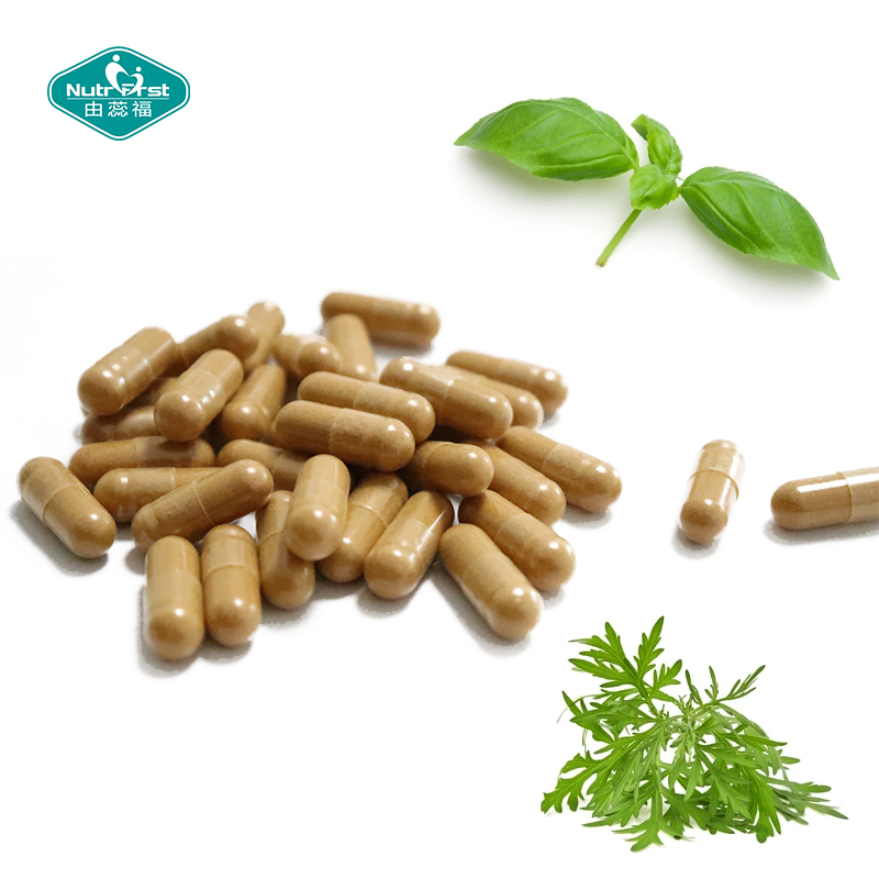 Nutrifirst Herbal Extract Oregano Basil Leaf Garlic Bulb Apple Cider Vinegar Wormwood Capsules for Immune Support