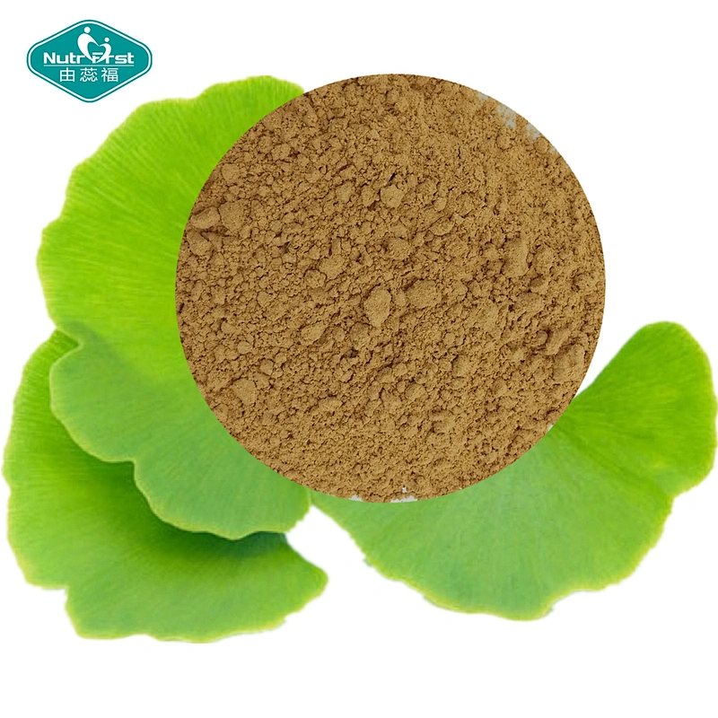 Nutrifirst Ginkgo Biloba Ginkgo Biloba Leaf Extract Powder Folium Ginkgo with 24% Flavone