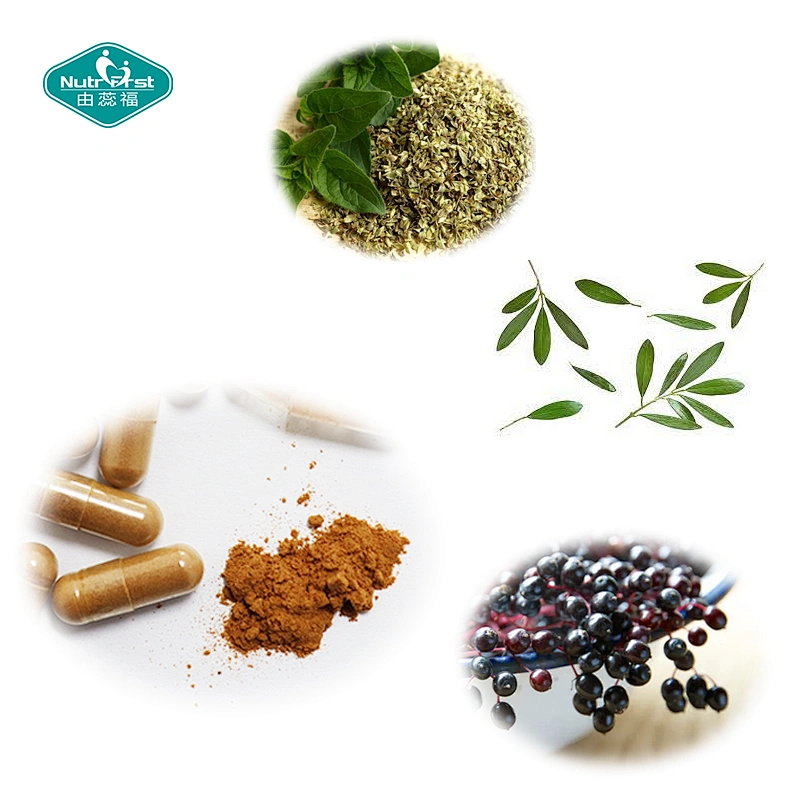Paquete personalizado OEM, nueva combinación multivitamínica, lisina, astrágalo, equinácea, cápsula de extracto de orégano