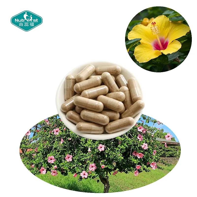 Nutrifirst Custom Customization OEM ODM Hibiscus Flower Extract Capsules