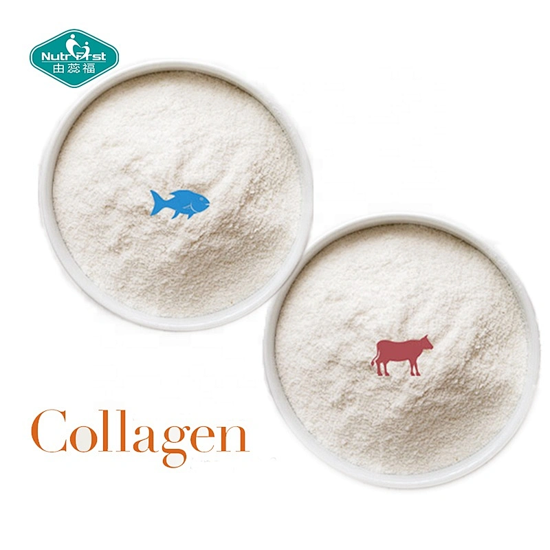 Productos de belleza Materia prima Colágeno de pescado hidrolizado Suplementos Péptido Colágeno marino en polvo a granel