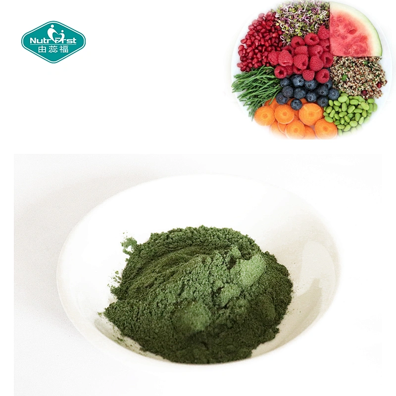 Wholesale High Quality Non-GMO Superfood Blend Multivitamin Plant Protein Drink Powder
