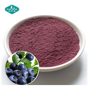 Nutrifirst Professional Factory Supply Plant Extract 25% Anthocyanins Bilberry P.E Organic Bilberry Extract