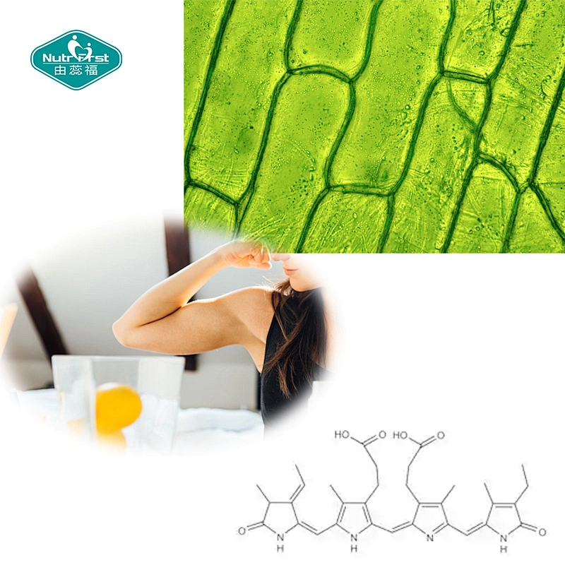 Nutrifirst Immune Booster Superfood Suplemento de alto nivel de proteína, tableta de espirulina, píldora a granel con clorofila B12