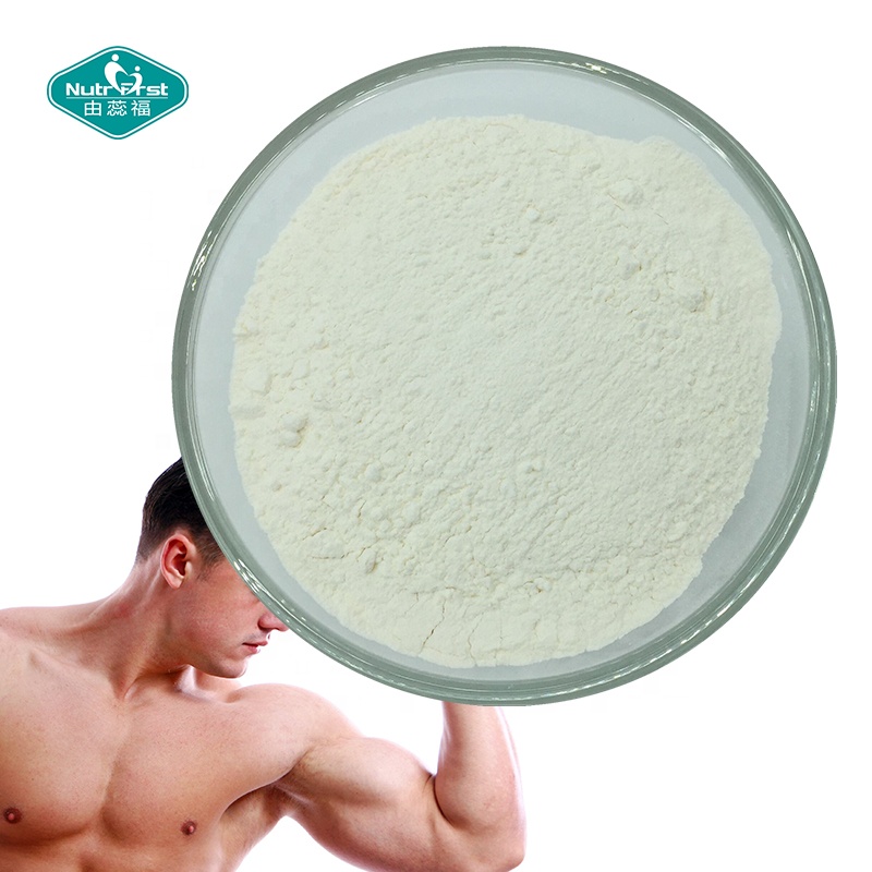 Suplemento de nutrición deportiva esencial de cadena ramificada en polvo BCAA, polvo de proteína energética de aminoácidos