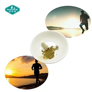 Nutrifirst Custom Customization OEM Improve Liver Health Benefits for Prostate Health Hydrangea Capsules