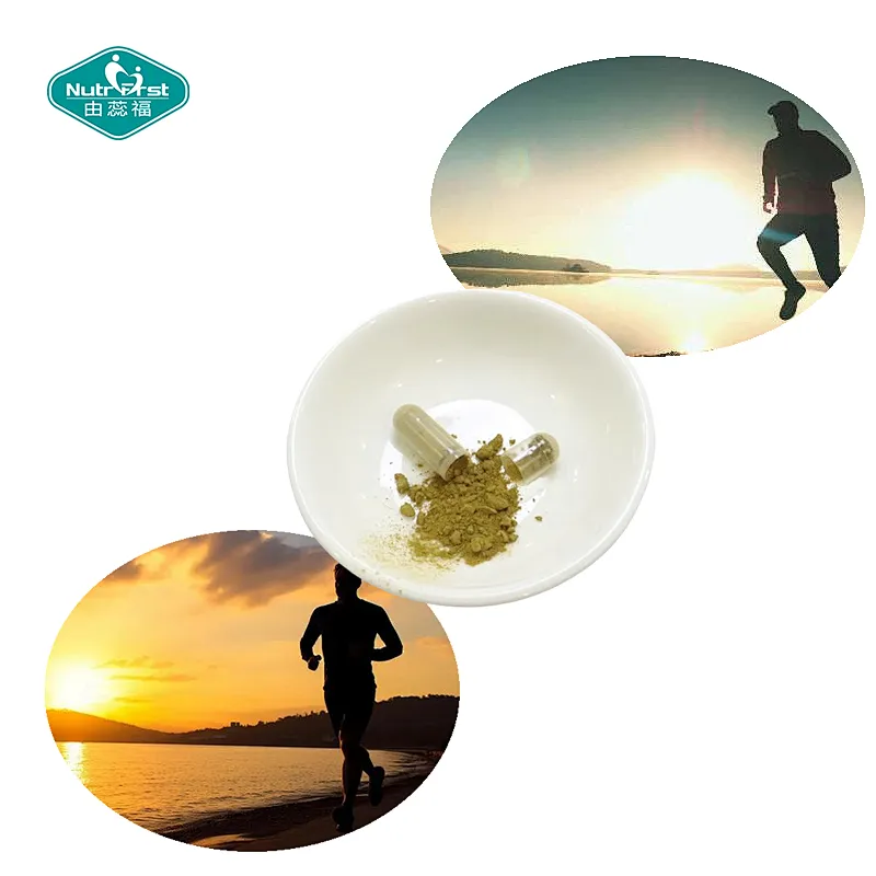 Nutrifirst Custom Customization OEM Improve Liver Health Benefits for Prostate Health Hydrangea Capsules