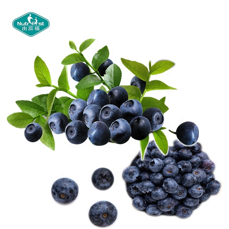Nutrifirst Professional Factory Supply Plant Extract 25% Anthocyanins Bilberry P.E Organic Bilberry Extract