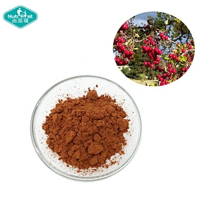Factory Direct Supply Free Sample Freeze Spray Dried Fruit Flavor Sour Hawthorn Berry Fruit Extract Powder
