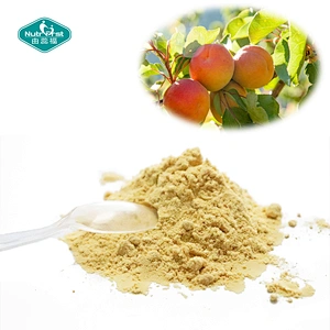 High Quality Customized Flavonoids Frozen Dried Apricot Fruit Powder in Bulk