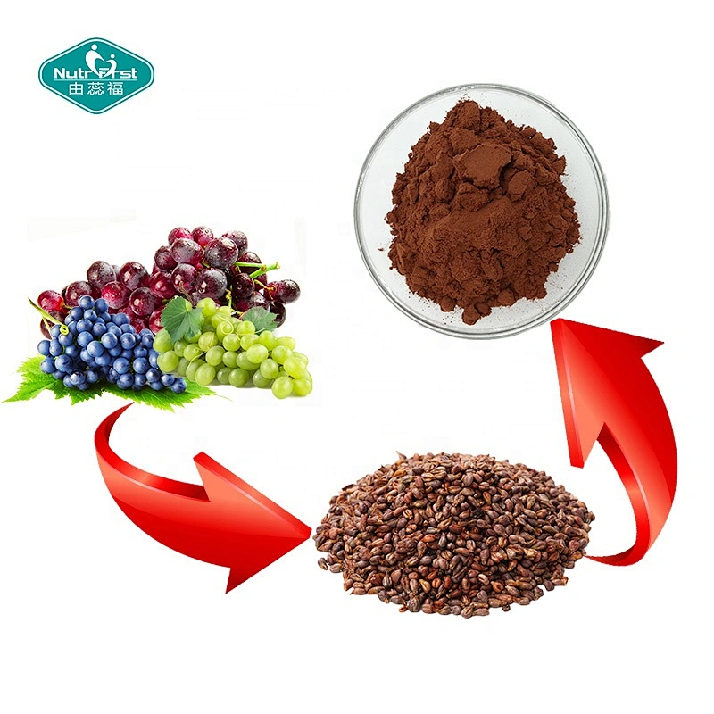Antioxidante 95% OPC Polvo de antocianina OPC orgánico Soluble en agua Extracto de semilla de uvas negras Vitis Vinifera L.