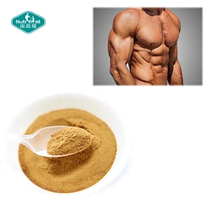 Food Grade Factory Supply Herbal Extract Muscle Strength Mental Function Enhance Fadogia Agrestis Extract Powder