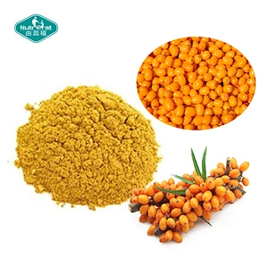 Nutrifirst Hippophae Rhamnoides concentrado extracto de espino amarillo liofilizado jugo de espino amarillo baya en polvo
