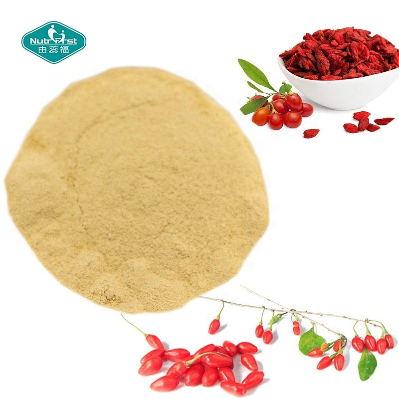 Nutrifirst Supply Lcycium Barbarum Polysaccharide Goji Berry Peptide Wolfberry Extract Powder in Bulk