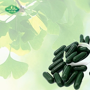 OEM Customized Formula Ginkgo Biloba & Magnesium Softgel Capsules Private Label Herbal Supplements for Memory Enhancement