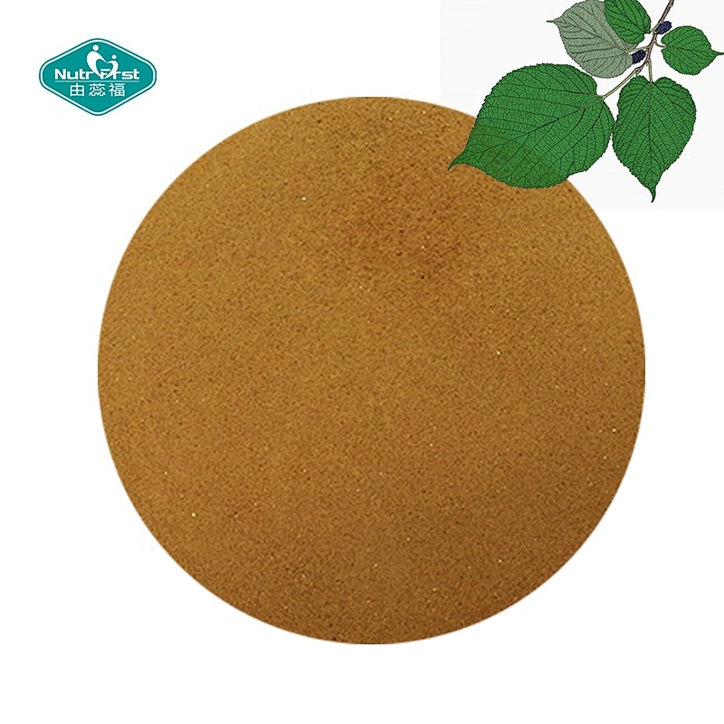 Manufacturer Wholesale Mulberry Leaf Extract Powder Sodium Magnesium Chlorophyllin Deoxynojirimycin Powder 1% DNJ