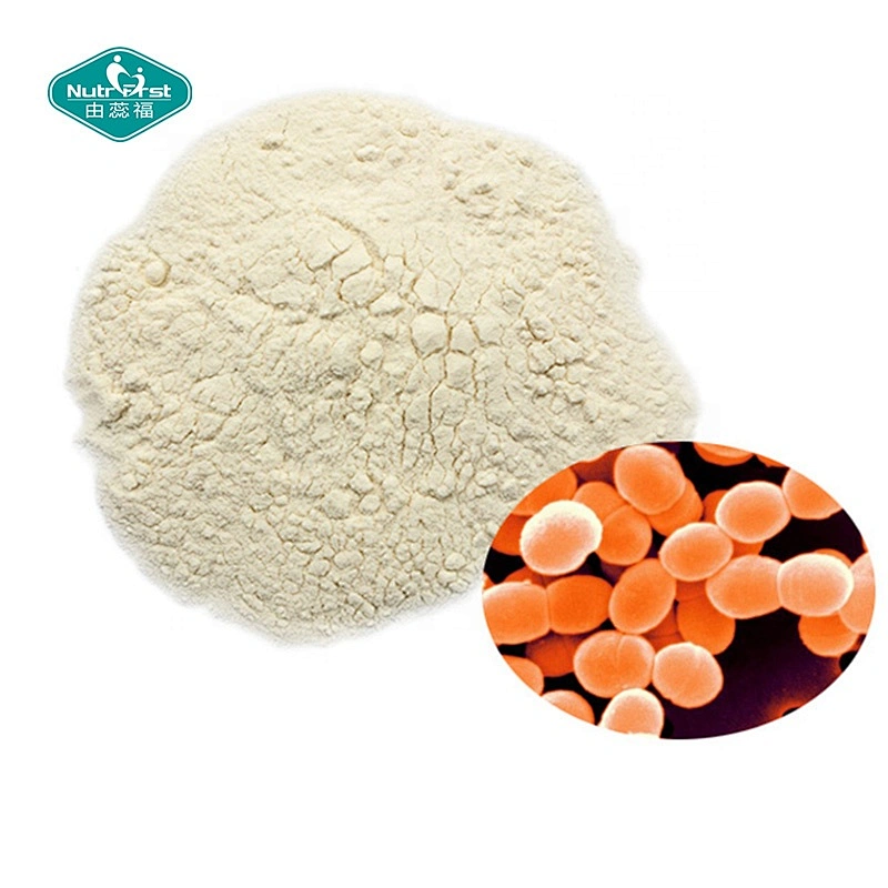 Nutrifirst Private Label Probiotics Products Lactococcus Lactis Powder Immune Booster Supplements