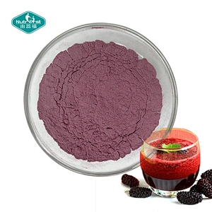 Custom Customized Spray Dried Mulberry Fruit Extract Juice Instant Drink Powder with Bespoke Packing