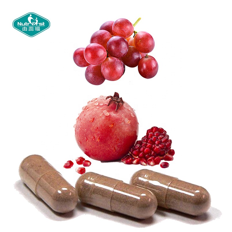 Nutrifirst Customizable Organic Gymnema Sylvestre Extract Capsules Pancreatic Function Support Herbal Supplements