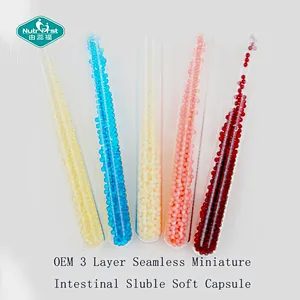 Nutrifirst Private Label Custom Probiotic Candy Gummy Colorful 3-Layer Seamless Miniature Intestinal Soluble Soft Capsule