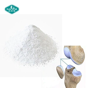 Raw Material Supplements Halal D-Glucosamine Hydrochloride HCL Powder Free Sample in Bulk