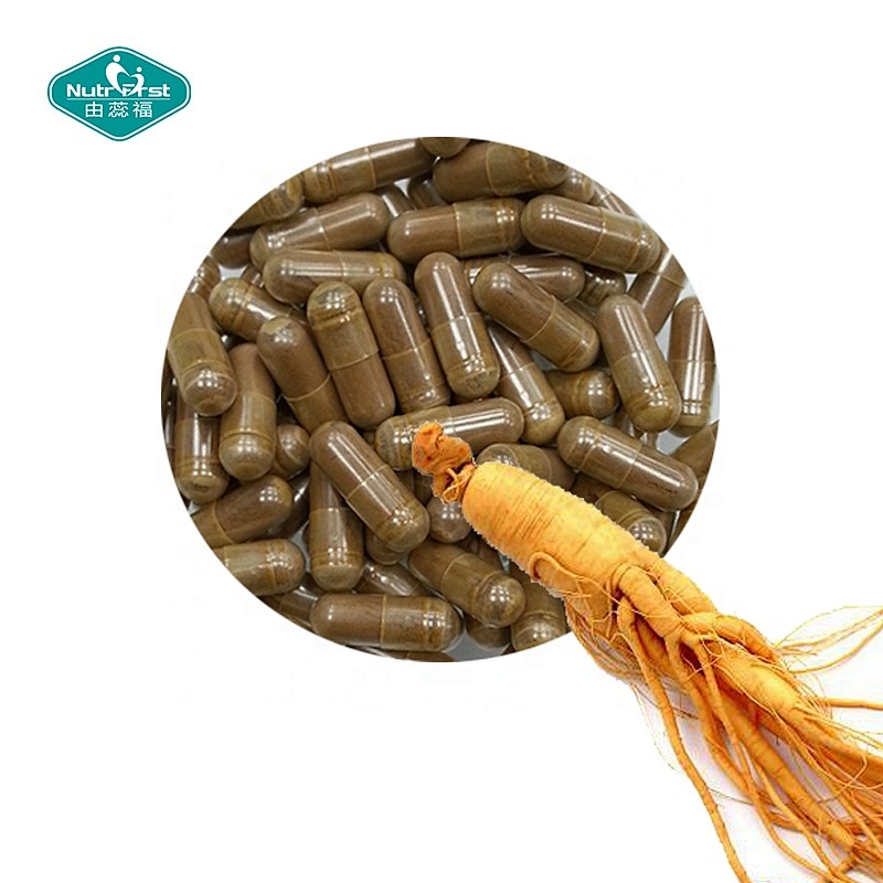 Food Supplements Korean Red Panax Ginseng Root Extract Capules With Ginkgo Biloba Extract