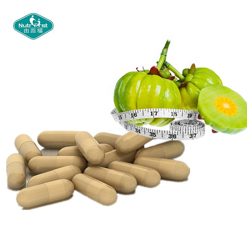 Wholesale Price Bulk Herbs Extarct HCA Garcinia Cambogia Fruit Extract Hydroxycitric Acid HCA 50% 60% 95%