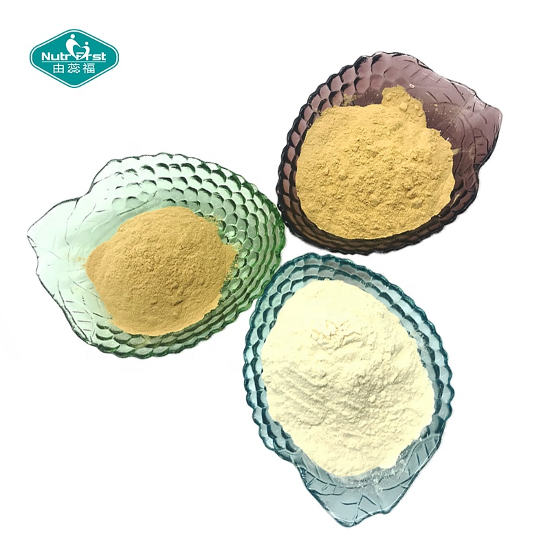 Nutrifirst Wholesale Pure Luo Han Guo Concentrated Powder Fructus Monordicae MonkFruit Extract Powder in Bulk