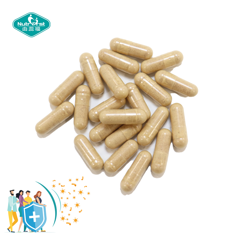 Complejo de hierbas a medida, bayas de saúco, bulbo de ajo, Echinacea Purpurea, cápsula de extracto de pimienta negra para defensa inmunológica