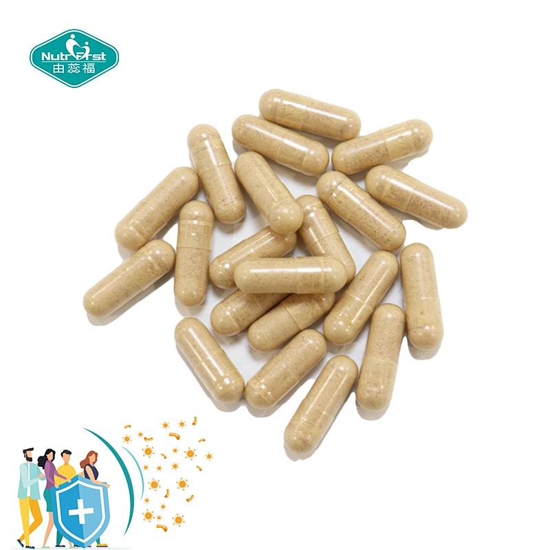 Complejo de hierbas a medida, bayas de saúco, bulbo de ajo, Echinacea Purpurea, cápsula de extracto de pimienta negra para defensa inmunológica