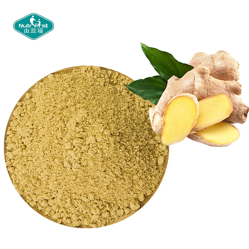 Aditivos alimentarios Nutrifirst Polvo de raíz de jengibre soluble en agua instantáneo orgánico Gingerol Extracto de jengibre negro