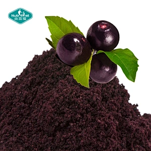 Nutrifirst Factory Supply Free Sample Organic Freeze Dried Acai Berry Fruit Powder Acai Juice Powder