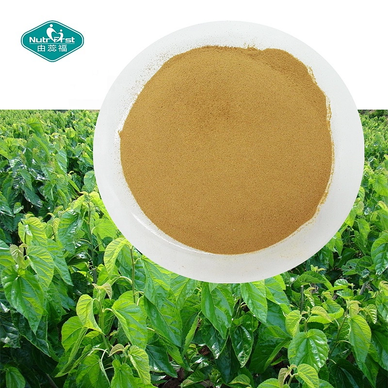 Extracto de hoja de morera 100 % de clorofilina de cobre sódico en varias proporciones personalizado de Nutrifirst
