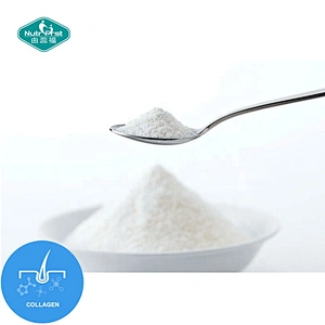 Suplementos de belleza a granel, péptidos de colágeno en polvo, polvo de colágeno hidrolizado de pescado de pollo porcino bovino