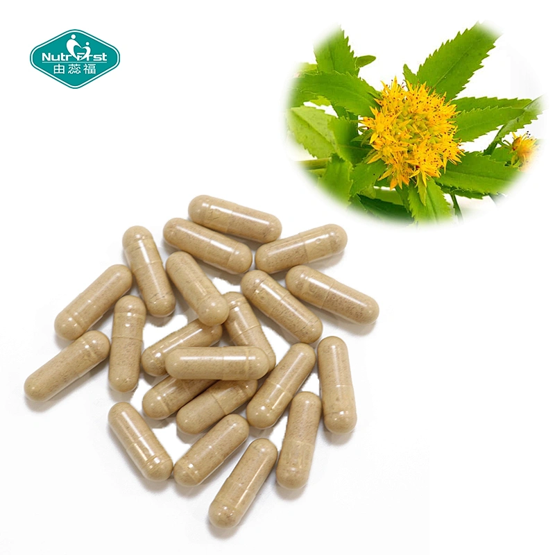 Wholesale Private Label Mental Health Multivitamin Amino Acid Herb Extract Vegan Capsules for Brain Function Enhancement