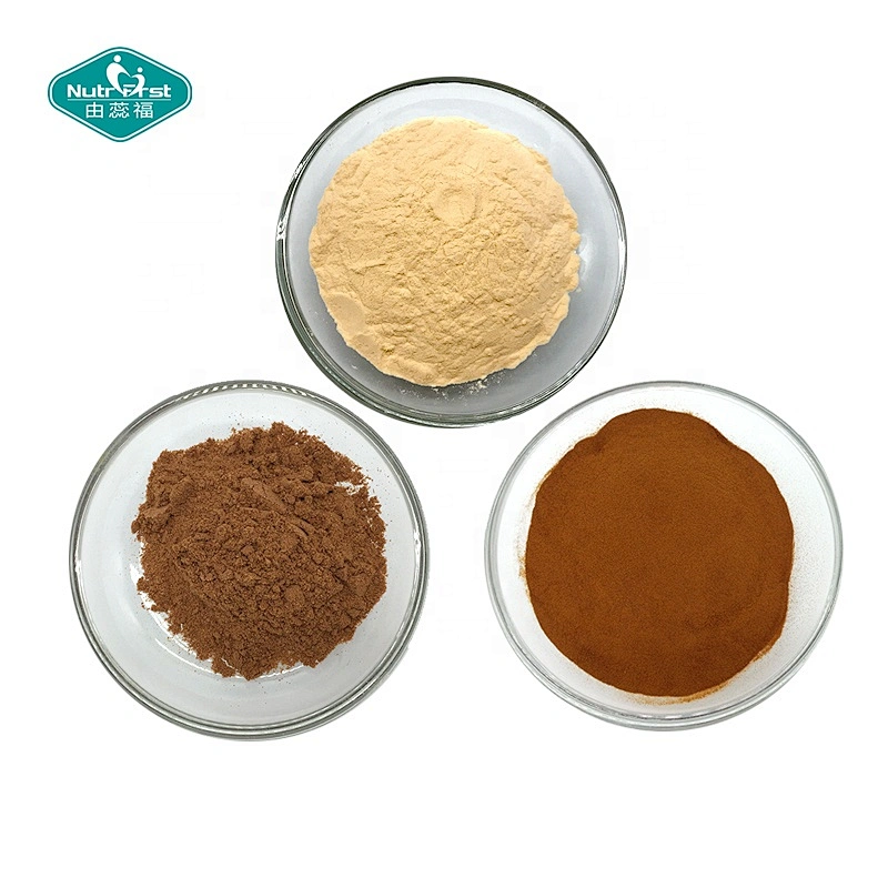 Extracto de antocianina de fruta de Wolfberry en polvo de bayas de Goji negras secas congeladas 100% de fabricante profesional chino