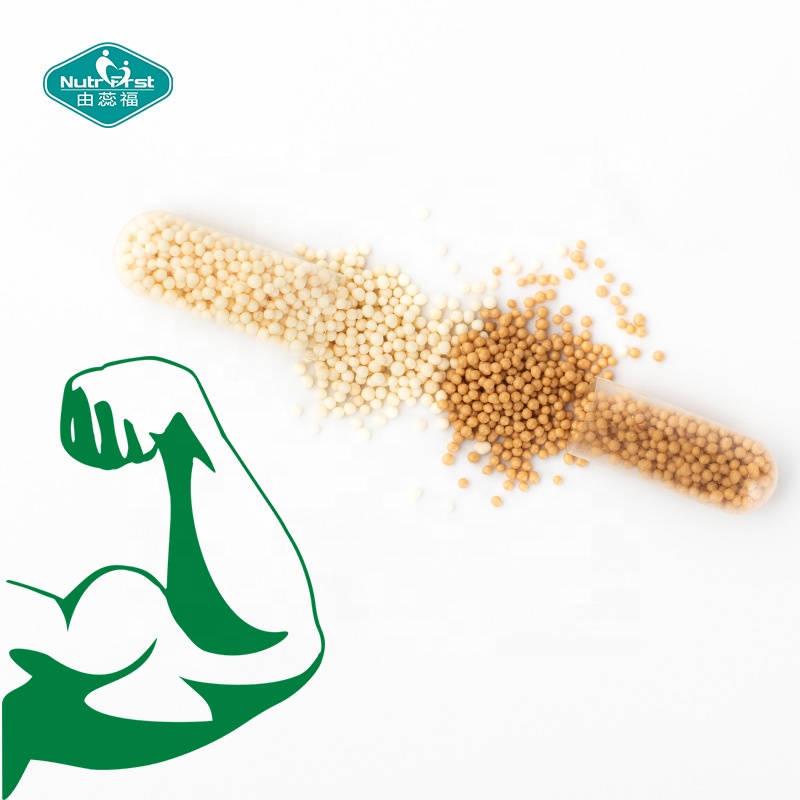 Suplementos de aminoácidos de cadena ramificada Micropellets cronometrados Cápsulas granulares de BCAA de liberación lenta con microesferas